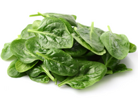 Espinaca